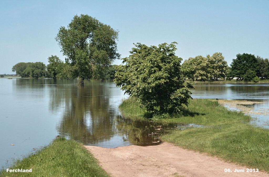 Hochwasser- 2013_06_06-015-Ferchland.jpg